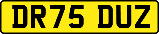 DR75DUZ
