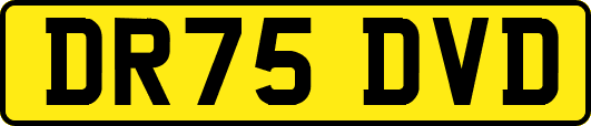 DR75DVD