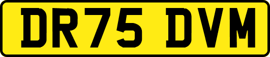DR75DVM