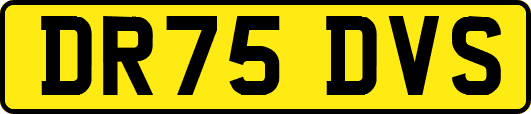 DR75DVS