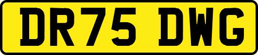 DR75DWG