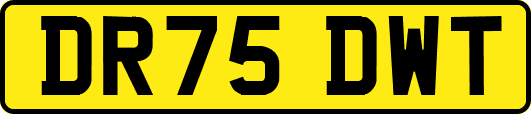 DR75DWT
