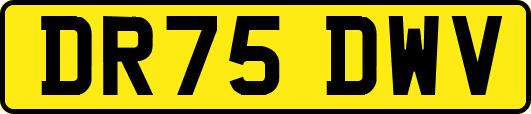 DR75DWV