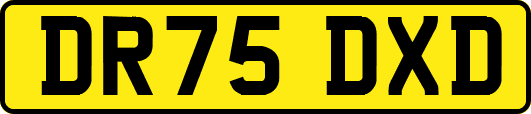 DR75DXD