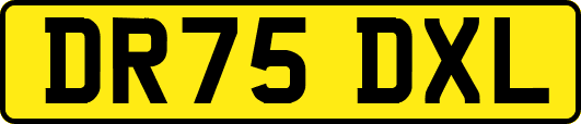 DR75DXL
