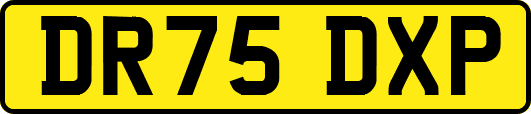 DR75DXP
