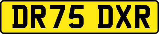DR75DXR