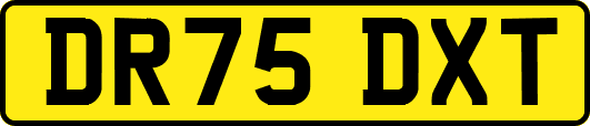 DR75DXT