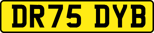 DR75DYB
