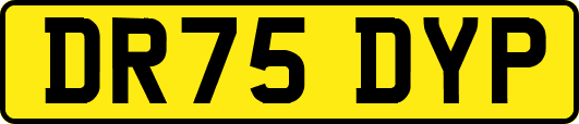 DR75DYP