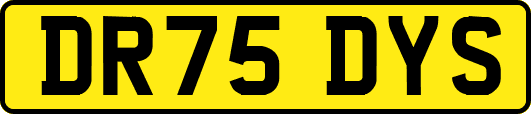 DR75DYS