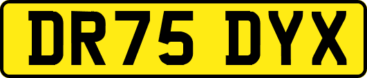 DR75DYX