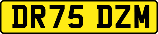 DR75DZM