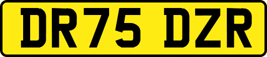 DR75DZR
