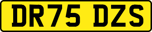 DR75DZS
