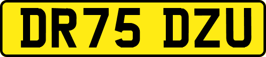 DR75DZU