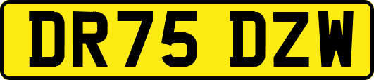 DR75DZW