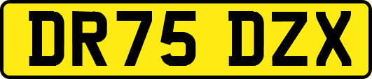 DR75DZX