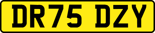DR75DZY