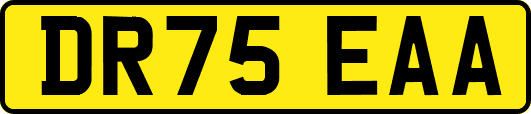 DR75EAA