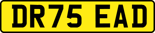 DR75EAD