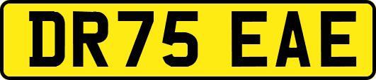 DR75EAE