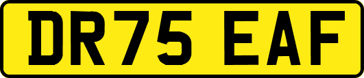 DR75EAF