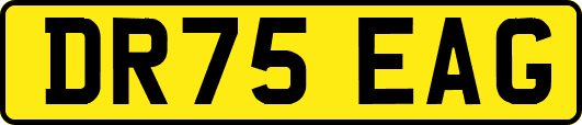 DR75EAG