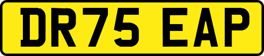 DR75EAP