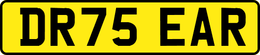 DR75EAR