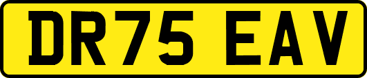 DR75EAV