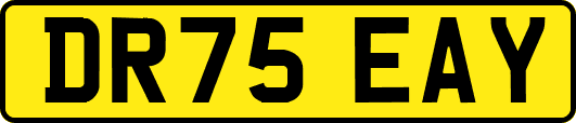 DR75EAY