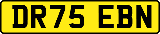 DR75EBN