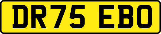 DR75EBO