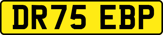 DR75EBP