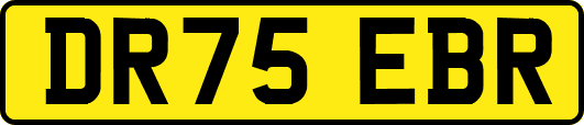 DR75EBR