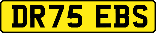 DR75EBS