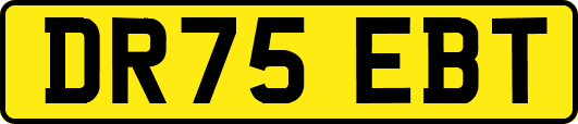 DR75EBT