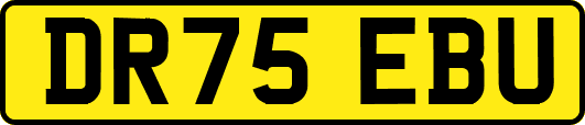 DR75EBU