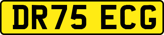 DR75ECG