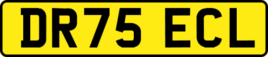 DR75ECL