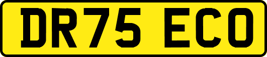 DR75ECO