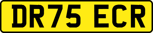 DR75ECR