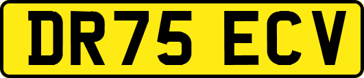 DR75ECV