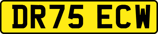 DR75ECW