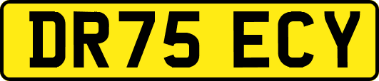DR75ECY