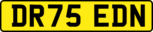 DR75EDN