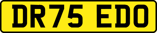 DR75EDO