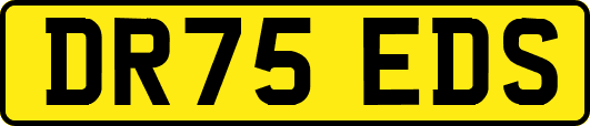 DR75EDS
