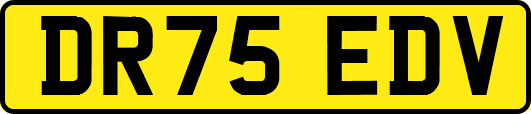 DR75EDV